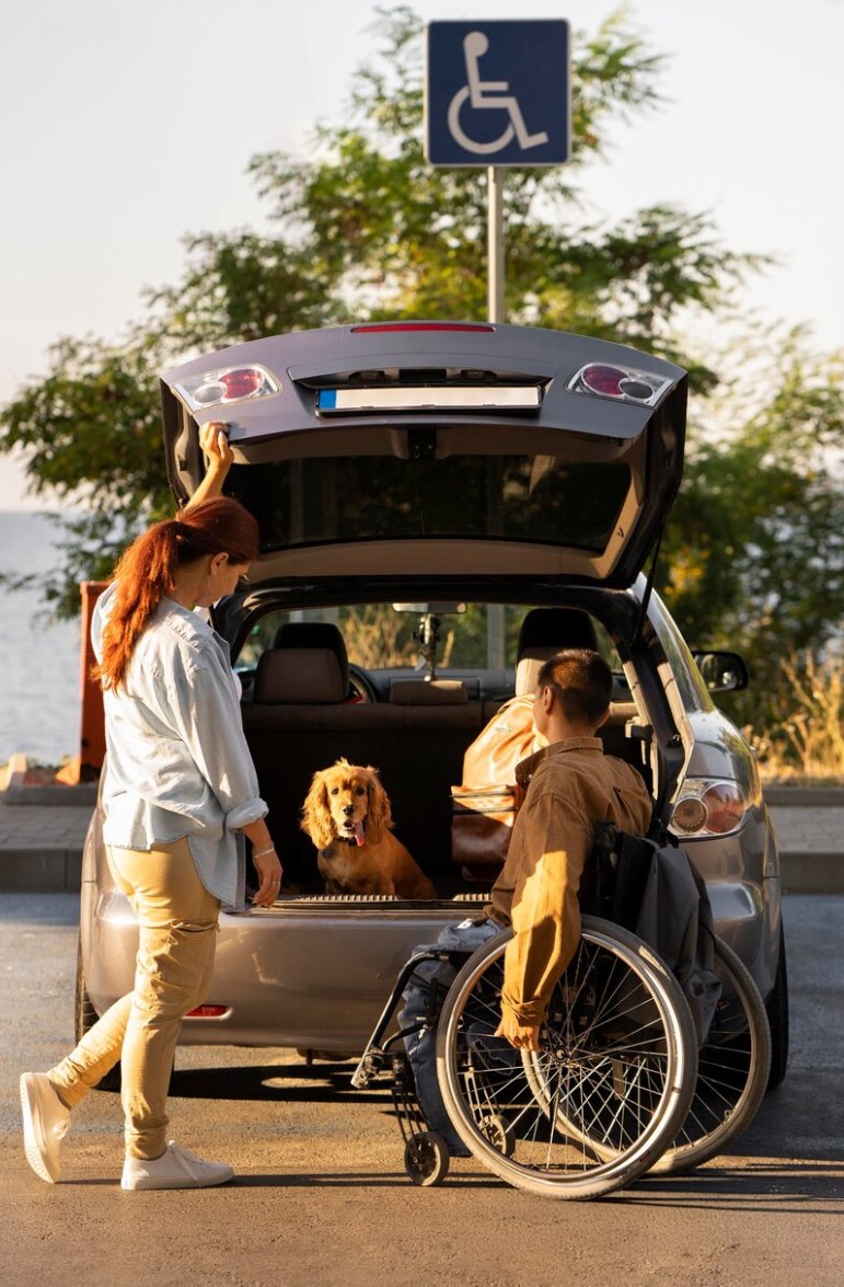 Travel and Transport Services